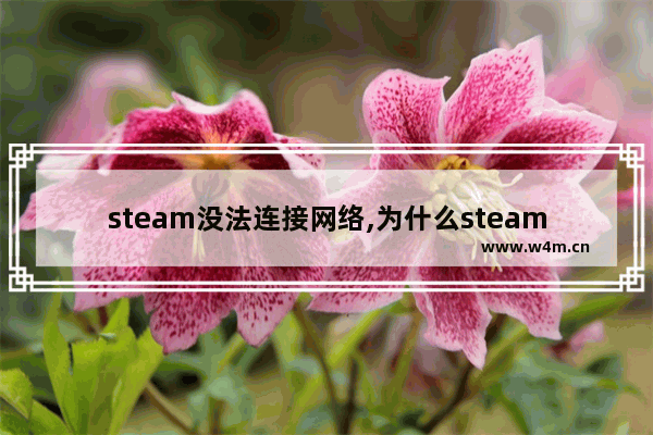 steam没法连接网络,为什么steam无法连接至steam网络