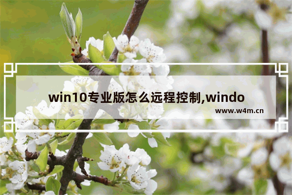 win10专业版怎么远程控制,windows10专业版远程控制