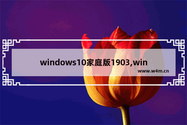 windows10家庭版1903,win101909镜像下载