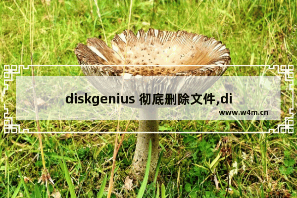 diskgenius 彻底删除文件,diskgenius复制文件失败没有被正常卸载