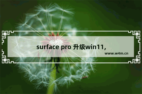 surface pro 升级win11,surfacepro装win10