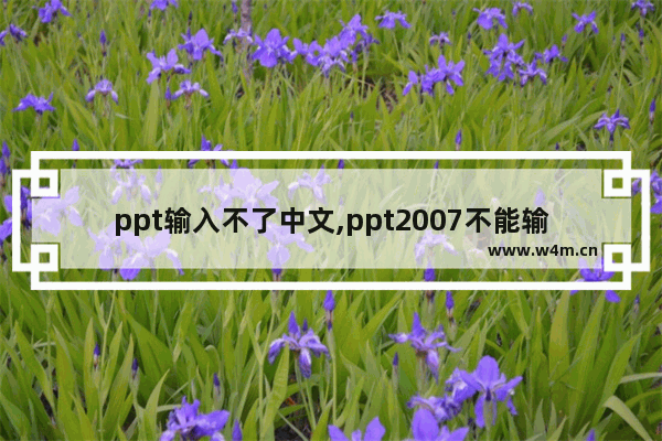 ppt输入不了中文,ppt2007不能输入中文