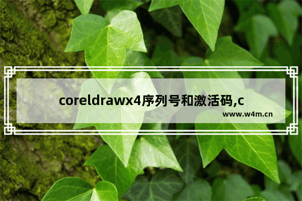 coreldrawx4序列号和激活码,coreldraw x4怎么激活