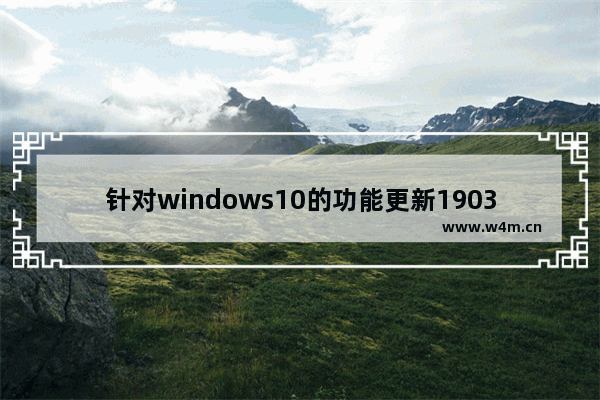 针对windows10的功能更新1903,win10 1903关闭自动更新