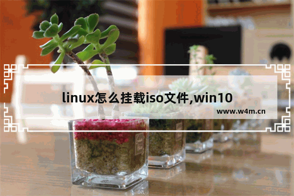 linux怎么挂载iso文件,win10怎么装载iso