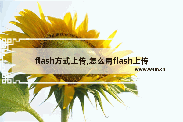 flash方式上传,怎么用flash上传到网页