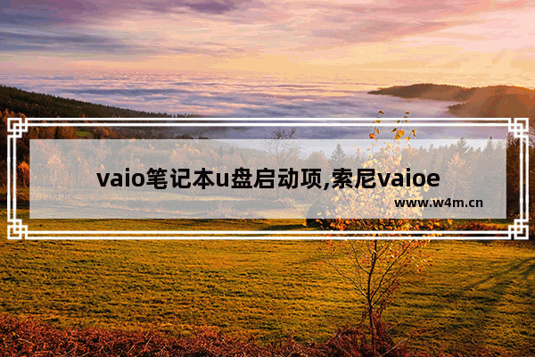 vaio笔记本u盘启动项,索尼vaioe系列u盘启动