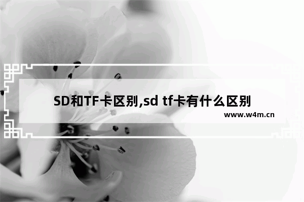 SD和TF卡区别,sd tf卡有什么区别