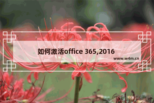 如何激活office 365,2016 microsoft office 365 激活工具