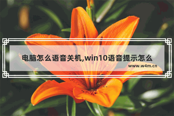 电脑怎么语音关机,win10语音提示怎么关