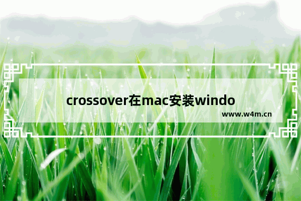 crossover在mac安装windows软件,如何用crossover安装软件