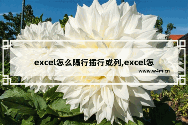 excel怎么隔行插行或列,excel怎么间隔插行