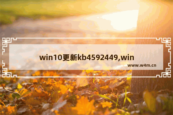 win10更新kb4592449,win10更新kb4601382_1