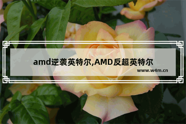 amd逆袭英特尔,AMD反超英特尔