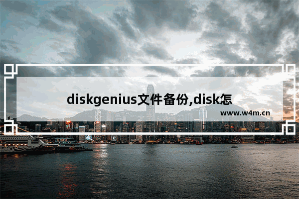 diskgenius文件备份,disk怎么备份