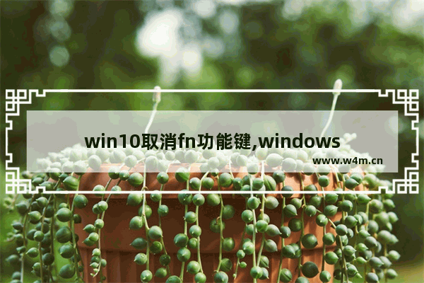 win10取消fn功能键,windows10取消fn功能键