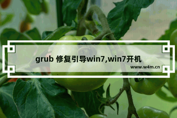 grub 修复引导win7,win7开机grub引导修复不成功