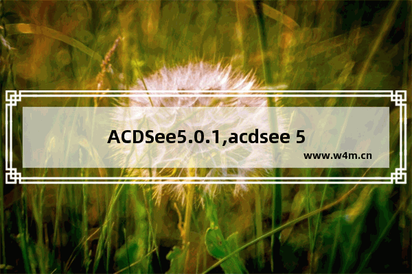 ACDSee5.0.1,acdsee 5.0简体中文版