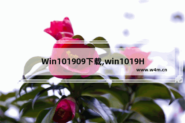 Win101909下载,win1019H1