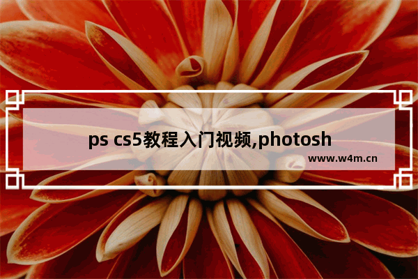 ps cs5教程入门视频,photoshop cs5视频教程