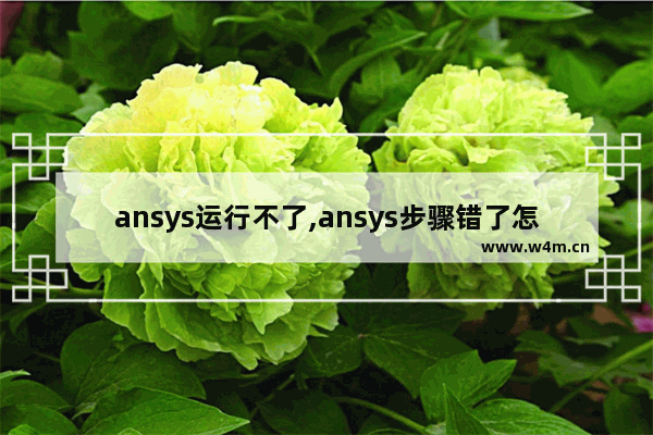 ansys运行不了,ansys步骤错了怎么办