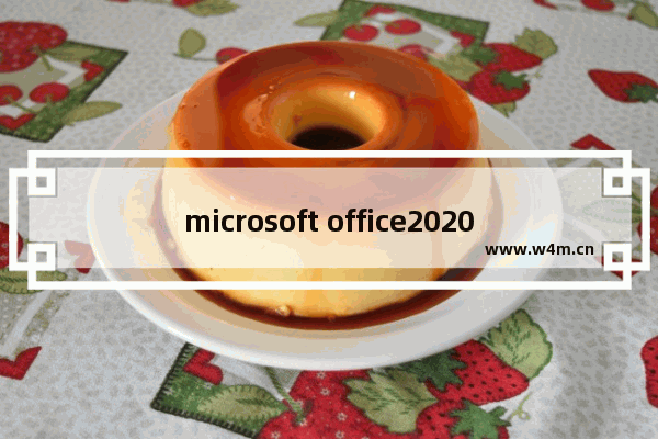 microsoft office2020激活,microsoft office 2019激活码