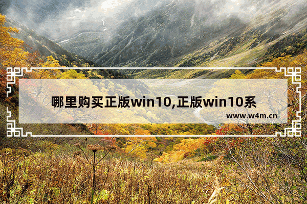 哪里购买正版win10,正版win10系统哪里买