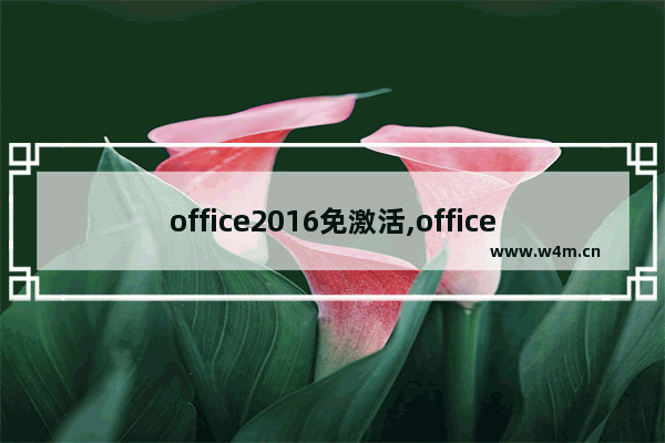 office2016免激活,office优惠