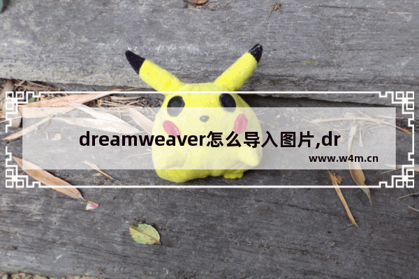 dreamweaver怎么导入图片,dreamweaver如何截取图片