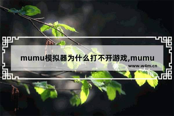 mumu模拟器为什么打不开游戏,mumu模拟器只能玩网易游戏吗