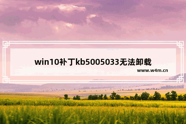 win10补丁kb5005033无法卸载,Win10 KB5003214可选更新出现Bug