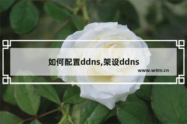 如何配置ddns,架设ddns