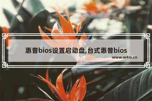 惠普bios设置启动盘,台式惠普bios设置启动顺序