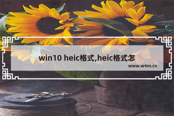 win10 heic格式,heic格式怎么变成jpg