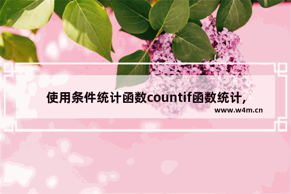 使用条件统计函数countif函数统计,excel使用countif函数统计人数