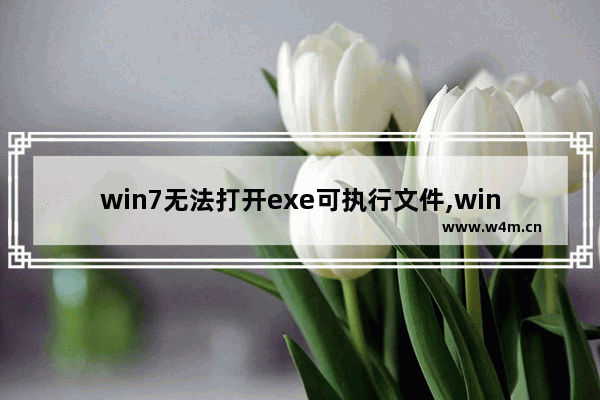 win7无法打开exe可执行文件,windows7打不开exe文件