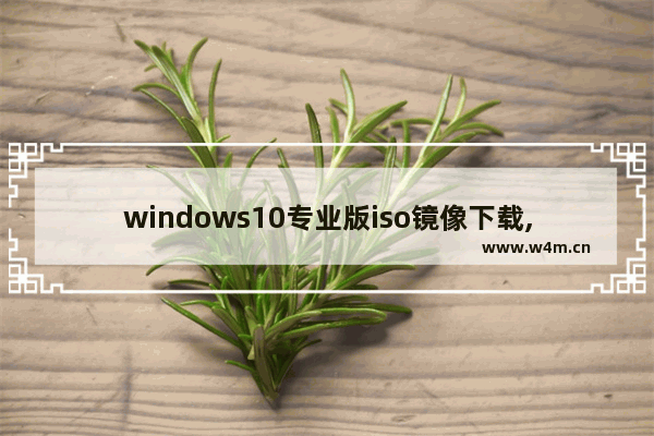 windows10专业版iso镜像下载,win10正版iso镜像下载_1