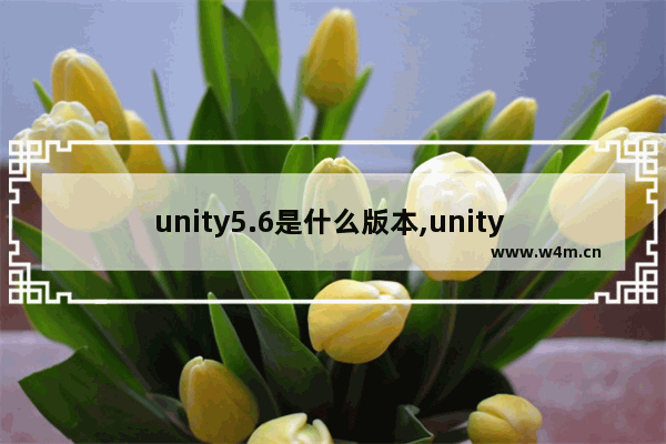 unity5.6是什么版本,unity 5.4