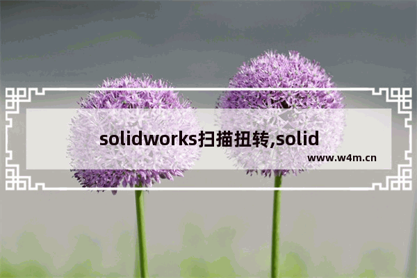 solidworks扫描扭转,solidworks扫描怎么用