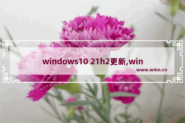 windows10 21h2更新,win10更新失败21h1