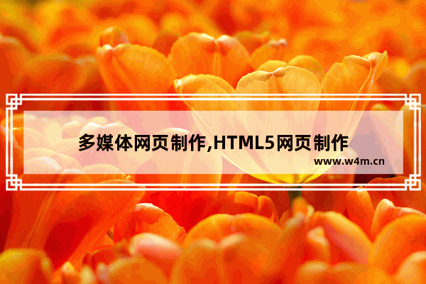 多媒体网页制作,HTML5网页制作