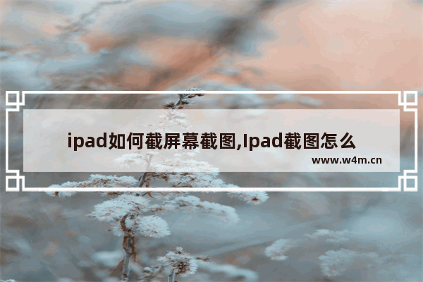 ipad如何截屏幕截图,Ipad截图怎么截