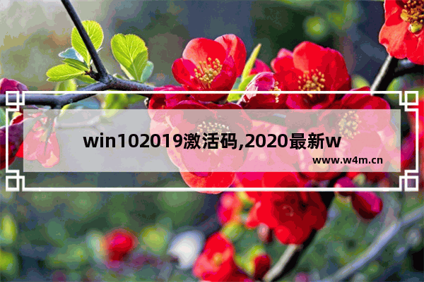 win102019激活码,2020最新windows10永久激活码win10专业版密钥win10