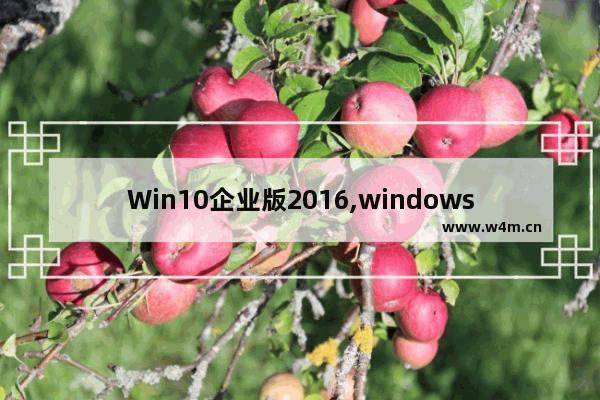 Win10企业版2016,windows10 2020版