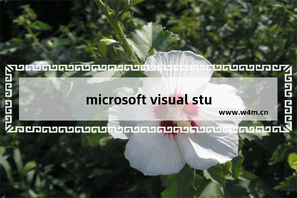 microsoft visual studio2010下载,microsoft visual studio下载安装