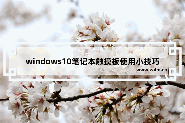 windows10笔记本触摸板使用小技巧,笔记本win10触摸板手势怎么开启