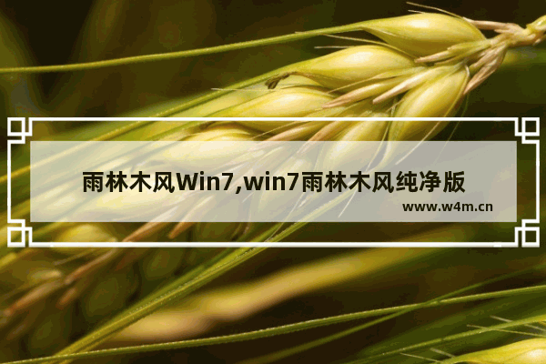 雨林木风Win7,win7雨林木风纯净版