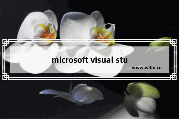 microsoft visual studio2010下载,microsoft visual studio下载安装