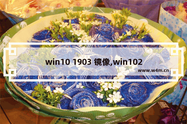 win10 1903 镜像,win1020h1官方镜像_1