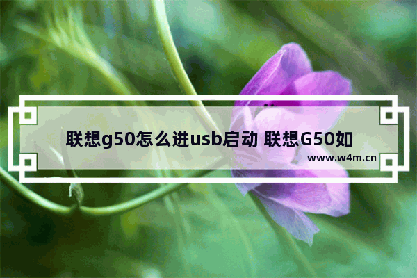 联想g50怎么进usb启动 联想G50如何使用USB启动